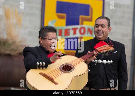 Mariachi Los Trovadores accompagnano una rappresentazione di ballo del Cavallo Messicano a Teton, Washington sabato 17 ottobre 2020. La danza tradizionale è in fase di registrazione per essere presentata praticamente durante i mesi di ottobre e novembre nel tentativo di limitare la diffusione del virus COVID-19 durante la celebrazione annuale della comunità di Dias de los Muertos Arts & Humanities. Foto Stock