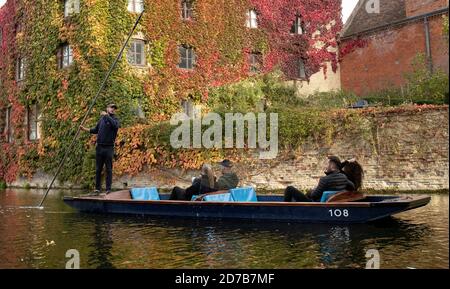 Cambridge Inghilterra Lunedi 19 ottobre 2020. Un pugno passa il colorato Creeper Virginia che cresce sul lato del St Johns College lungo il fiume Cam i Foto Stock