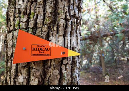 Ottawa, Ontario, Canada - 11 ottobre 2020: Un segnavia inchiodato ad un albero nella foresta di Marlborough dirige gli escursionisti lungo il sentiero Rideau, un percorso rurale Foto Stock