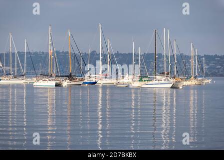 Barche ormeggiate nel porto di San Diego in una giornata estiva. San Diego, California, Stati Uniti. Foto Stock