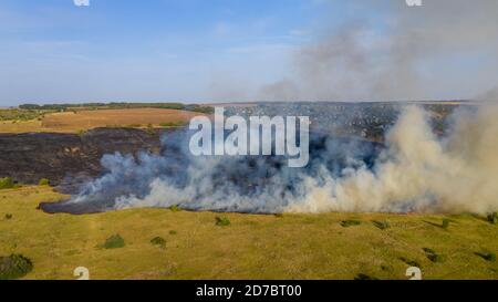 Vista aerea del fuoco della foresta, fuoco selvatico dopo la stagione estiva asciutta, natura ardente. Foto Stock