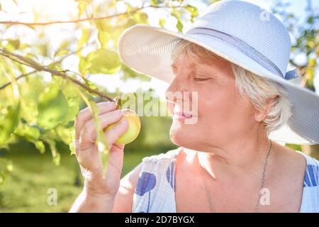 Felice donna anziana fiorire e godere di fiori in giardino sotto l'albero della mela Foto Stock