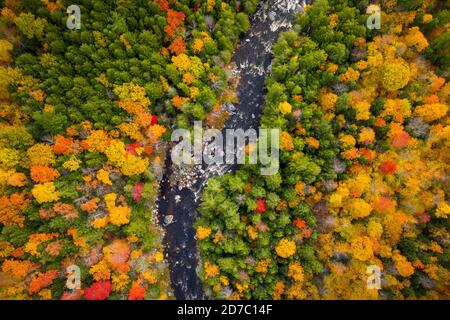 Vista aerea del fiume tortuoso attraverso alberi autunnali con colori autunnali in Adirondacks, New York, New England Foto Stock