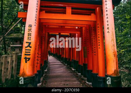 Kyoto/Japan - 2016 Nov 22 : colonne di torii rosse nel santuario di Fushimi inari. La mattina, l'atmosfera era tranquilla e non c'erano molti turisti. Questo Foto Stock