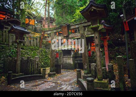 Kyoto/Giappone - 2016 Nov 22 : Antico santuario nella foresta nella stagione autunnale, il verde muschio lo rende fresco e umido. L'atmosfera sembra spaventosa e lo Foto Stock