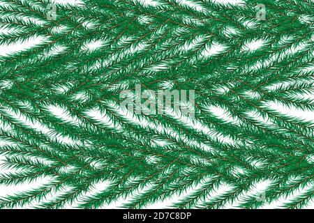 Lo sfondo di verde albero di Natale ramoscelli. Illustrazione Vettoriale