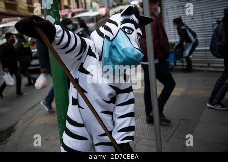 La Paz, Bolivia. 21 Ott 2020. Un altro piccolo passo verso la normalità nella sede di governo della Bolivia: Dopo mesi di assenza le zebre sono tornati. Hanno guadagnato la fama internazionale con lo spettacolo degli Stati Uniti 'Last Week Tonight with John Oliver'. Essi fanno parte di un programma che ha lo scopo di convincere i conducenti e i pedoni boliviani a seguire le regole del traffico (e, a partire da ora, igieniche). Allo stesso tempo, si tratta di una misura volta ad aiutare i giovani vulnerabili, dando loro un compito socialmente utile. Credit: Radoslaw Czajkowski/ Alamy Live News Foto Stock