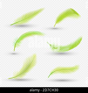 Set di piume d'oro, illustrazione vettoriale isolata. Piume fluffy realistiche di uccelli belli. Illustrazione Vettoriale