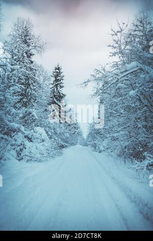 Paesaggio invernale con strada forestale vuota e alberi innevati dopo una nevicata pesante. Foto Stock