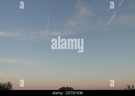 Cielo serale su Văcărești, Bucarest, Romania, Ottobre, 2020 Foto Stock