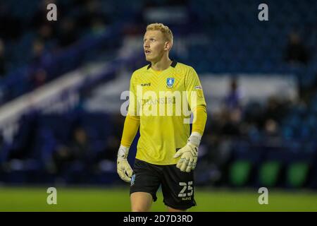 Cameron Dawson (25) di Sheffield Mercoledì durante la partita Foto Stock