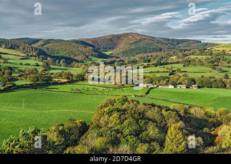 Moel Famau nella catena montuosa Clwydian vista da Loggerheads Country Park in autunno vicino a Mold North Wales UK ottobre 2019 2509 Foto Stock