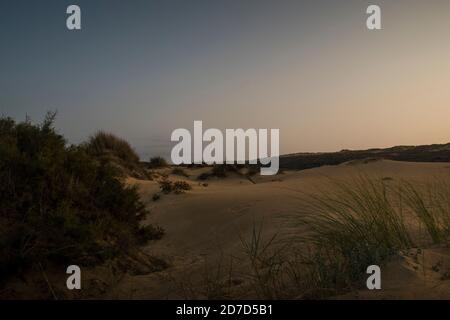 Vasto paesaggio di dune all'alba che si estende fino alle colline sulla linea dell'orizzonte, con impronte sulla sabbia e cespugli di dune Foto Stock