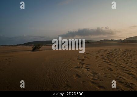 Vasto paesaggio di dune all'alba che si estende fino alle colline sulla linea dell'orizzonte, con impronte sulla sabbia Foto Stock