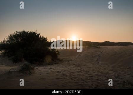 Vasto paesaggio di dune all'alba che si estende fino alle colline sulla linea dell'orizzonte, con impronte sulla sabbia e cespugli di dune Foto Stock