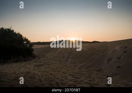 Vasto paesaggio di dune all'alba che si estende fino alle colline sulla linea dell'orizzonte, con impronte sulla sabbia e cespugli di dune Foto Stock