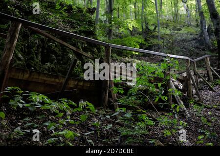 Abbandonati e vecchi sentieri in legno su una vecchia foresta In Romania Foto Stock