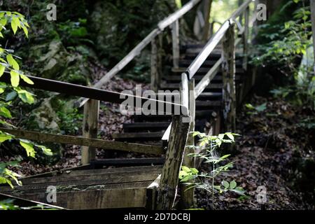 Abbandonati e vecchi sentieri in legno su una vecchia foresta In Romania Foto Stock