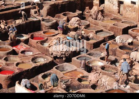 La conceria di Fez, Marocco Foto Stock