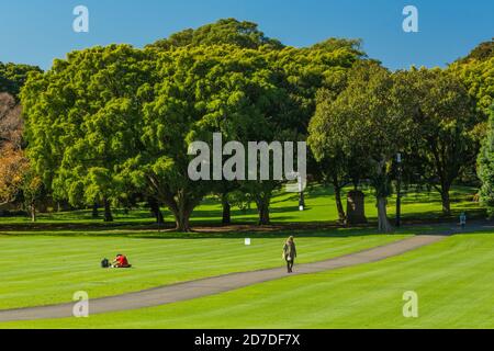 Il Domain è un'area di 84 ettari (34 acri) di spazio aperto, patrimonio dell'umanità, al margine orientale del quartiere centrale degli affari di Sydney nel NSW, Australia. Foto Stock