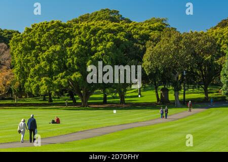 Il Domain è un'area di 84 ettari (34 acri) di spazio aperto, patrimonio dell'umanità, al margine orientale del quartiere centrale degli affari di Sydney nel NSW, Australia. Foto Stock