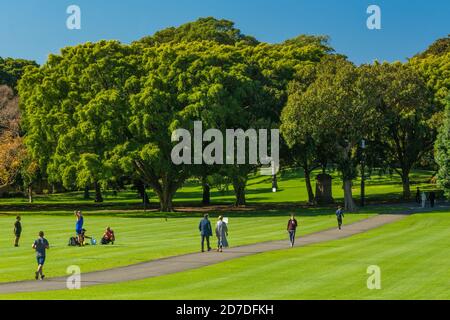 Il Domain è un'area di 84 ettari (34 acri) di spazio aperto, patrimonio dell'umanità, al margine orientale del quartiere centrale degli affari di Sydney nel NSW, Australia. Foto Stock