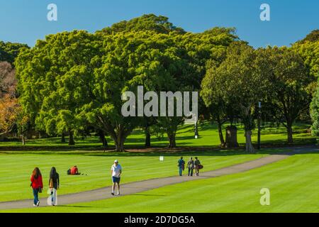 Il Domain è un'area di 84 ettari (34 acri) di spazio aperto, patrimonio dell'umanità, al margine orientale del quartiere centrale degli affari di Sydney nel NSW, Australia. Foto Stock