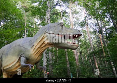 Rasnov, Romania - 3 ottobre 2020: Tyrannosaurus rex modello in un parco dino all'aperto in Romania. Foto Stock