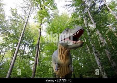 Rasnov, Romania - 3 ottobre 2020: Tyrannosaurus rex modello in un parco dino all'aperto in Romania. Foto Stock