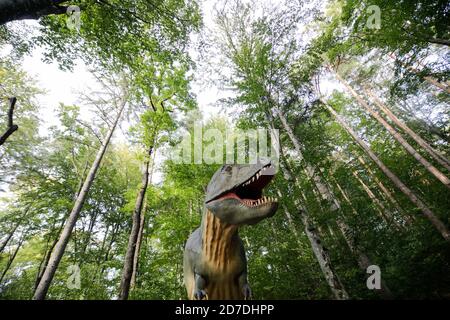 Rasnov, Romania - 3 ottobre 2020: Tyrannosaurus rex modello in un parco dino all'aperto in Romania. Foto Stock