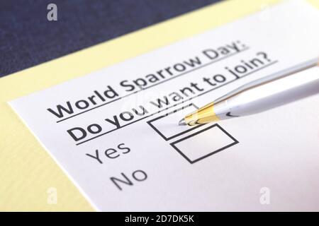 Una persona sta rispondendo alla domanda sulla Giornata Mondiale del Sparrow. Foto Stock