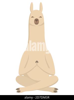 Llama che fa yoga. Carino animale in stile cartoon. Illustrazione Vettoriale