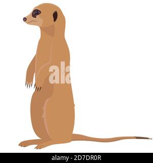 Seduta carino meerkat. Animale africano in stile cartoon. Illustrazione Vettoriale