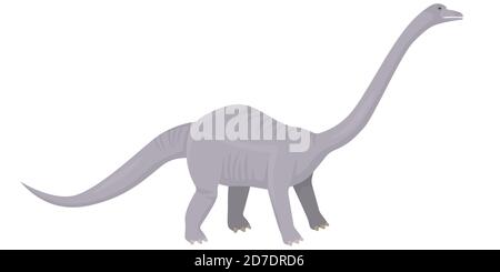 Diplodocus in stile cartoon. Dinosauro erbivoro isolato su sfondo bianco. Illustrazione Vettoriale
