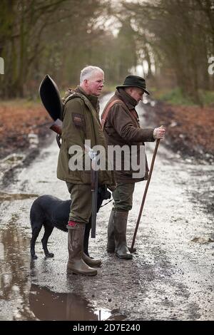 In attesa del prossimo viaggio con un labrador nero in un gioco guidato sparare in Lancashire, Inghilterra Foto Stock