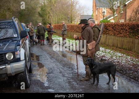 In attesa del prossimo viaggio con un labrador nero in un gioco guidato sparare in Lancashire, Inghilterra Foto Stock