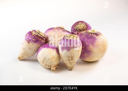 Rape primaverili appena raccolte, Brassica rapa, su sfondo bianco Foto Stock