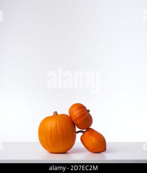 Autunno Still Life composto da diversi tipi di zucche su Sfondo bianco Foto Stock