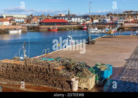 Porto di Arbroath con pentole di aragosta e una vista sul mercato del pesce e la città dietro, Angus, Scozia, Regno Unito Foto Stock