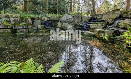 Laghetto con acqua con alghe in fiore circondato da pietre, acqua che scorre tra le rocce formando piccole cascate, luce del sole riflessa nell'acqua An Foto Stock