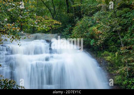 Vicino alla cascata e alla lussureggiante foresta delle Great Smoky Mountains del North Carolina. Foto Stock