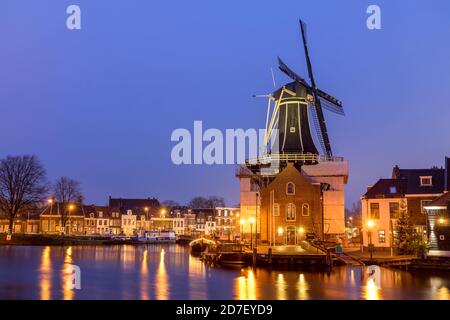 Holland, canali di Haarlem. Vista sul canale con mulino a vento tradizionale, vista notturna Foto Stock