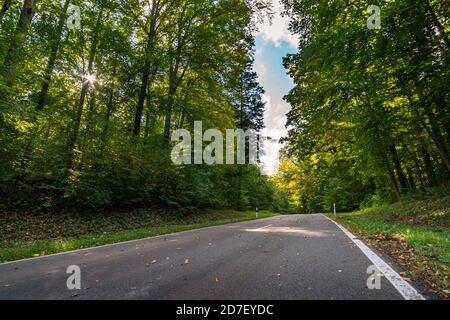 Strada vuota nella foresta autunnale con foglie in Alto Swabia Germania Foto Stock