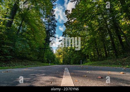 Strada vuota nella foresta autunnale con foglie in Alto Swabia Germania Foto Stock