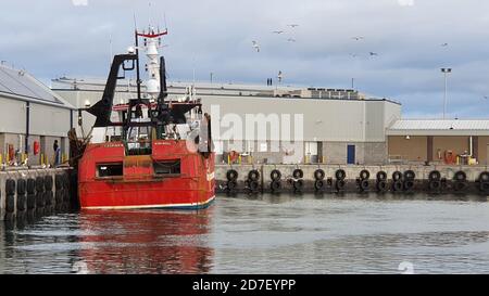 Imbarcazione da pesca rossa al mercato del pesce di Peterhead Foto Stock