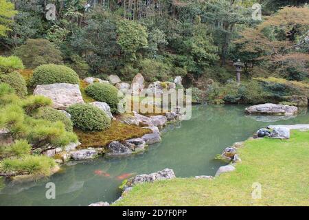 giardino giapponese in un tempio (shoren-in) a kyoto in giappone Foto Stock