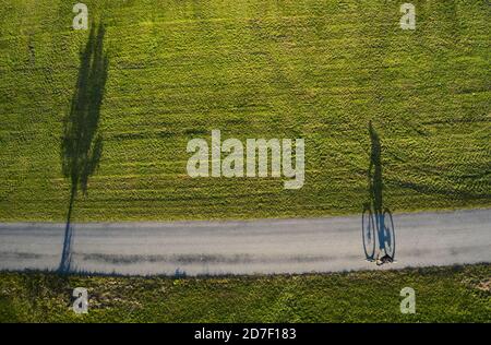 Ombra di un ciclista che passa un albero vicino a Marktoberdorf, Baviera, Germania, 21 ottobre 2020. © Peter Schatz / Alamy Live News Foto Stock