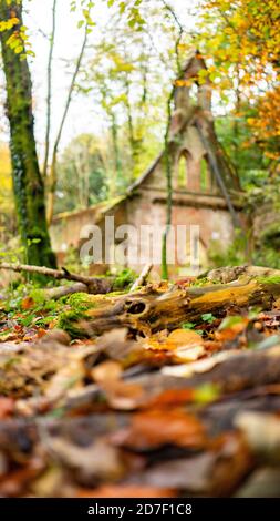 La scuola vittoriana derelict in Bedham Woods vicino a Petworth nel Sussex occidentale, Inghilterra, Regno Unito Foto Stock