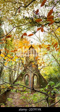 La scuola vittoriana derelict in Bedham Woods vicino a Petworth nel Sussex occidentale, Inghilterra, Regno Unito Foto Stock