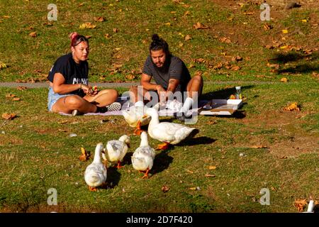Frederick, MD, USA 10/14/2020: Una giovane coppia in abiti estivi si siede su coperta da picnic in un pomeriggio di sole. Mangiano spuntini e alimentano anatre come Foto Stock